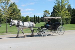 Horse-drawn carriage rides on Mackinac Island is one of the most popular things to do for visitors.