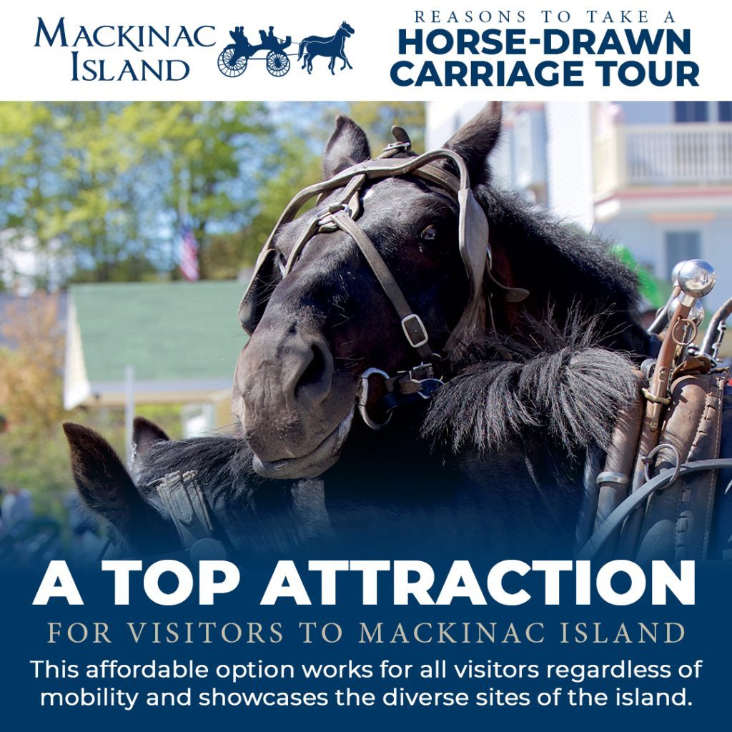 Two horses rest their heads on each other in an ad promoting Mackinac Island horse-drawn carriage tours
