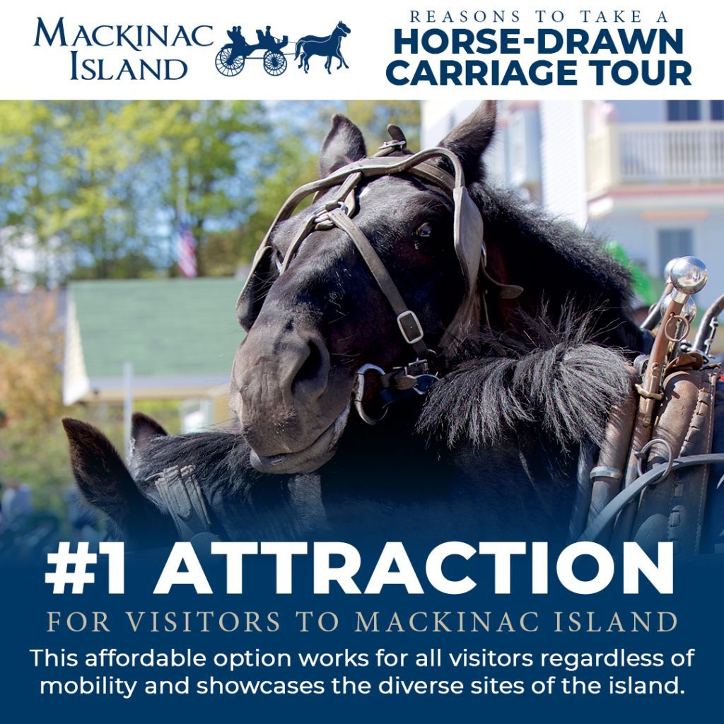 An image of two playful horses with the caption that horse-drawn carriage rides are Mackinac Island's #1 attraction