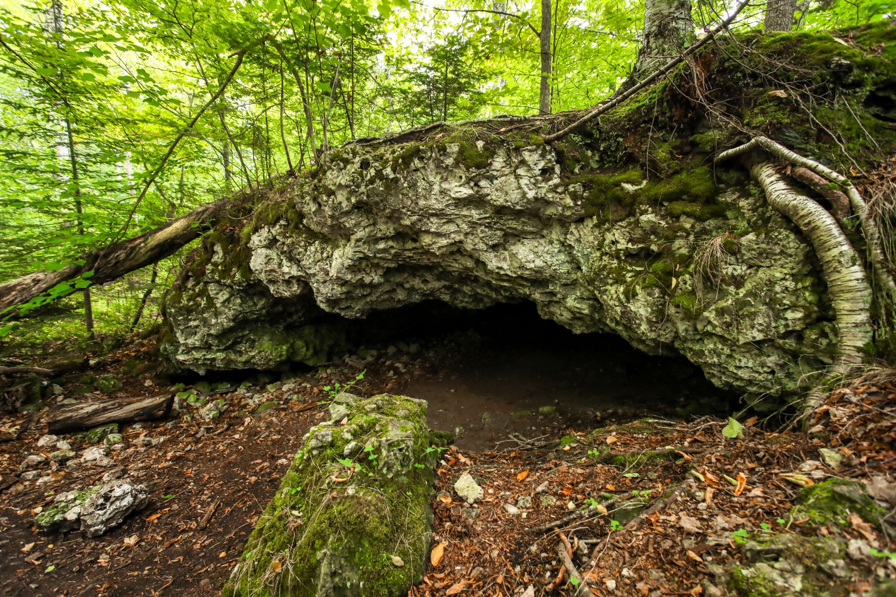 The mouth of Mackinac Island's Cave of the Woods opens to the forest inside Mackinac Island State Park