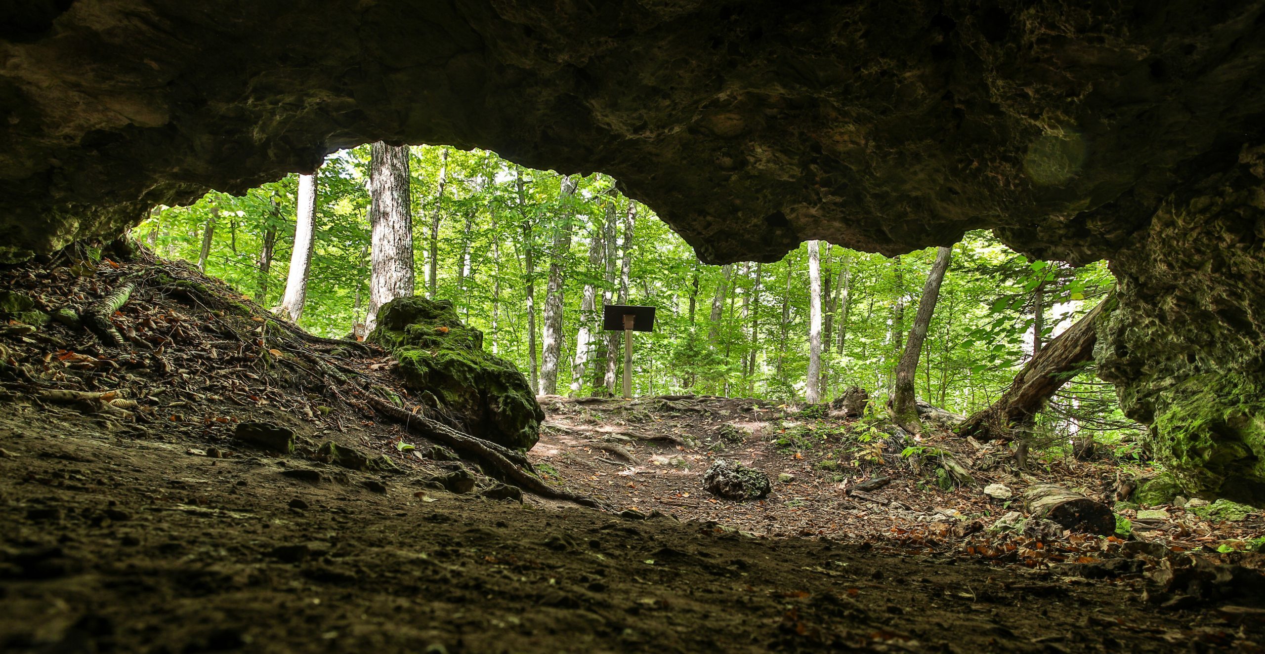 A view of the woods looking out from inside Mackinac Island’s Cave of the Woods in Mackinac Island State Park