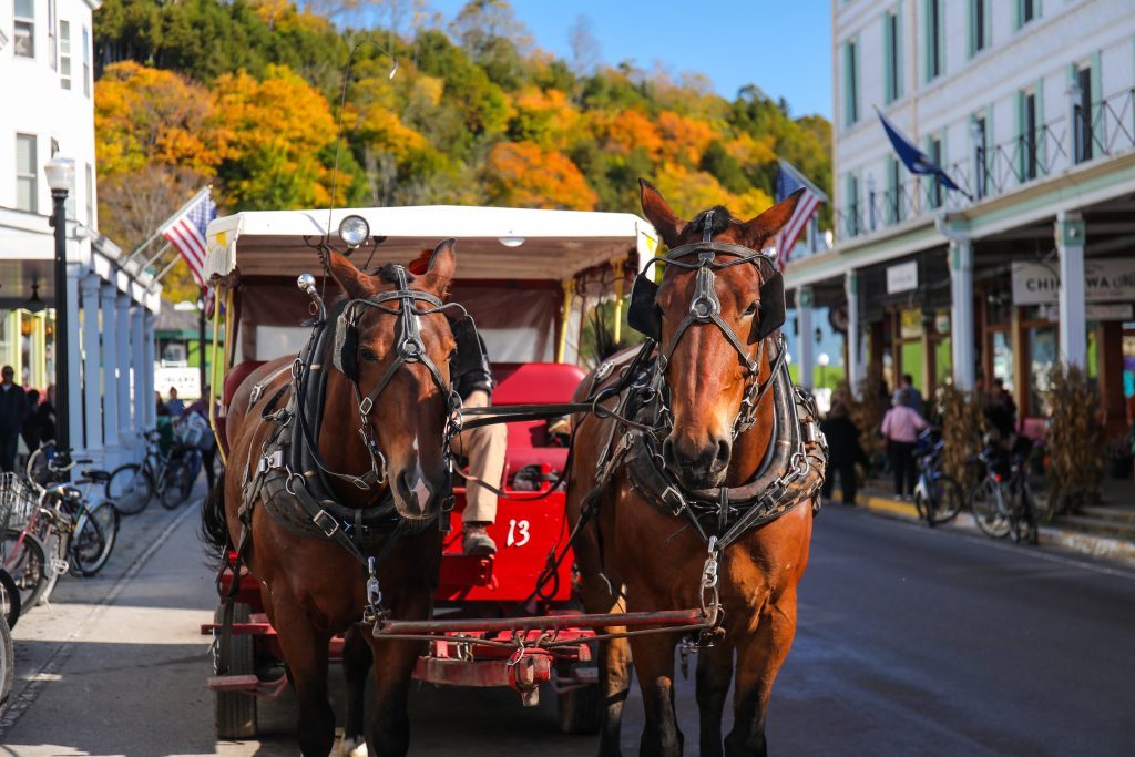 A horse-drawn carriage tour of Mackinac Island makes its way down Main Street in the fall.