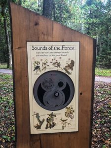 Mackinac Island Botanical Trail includes an audio device that lets you hear sounds of birds that live in the State Park.