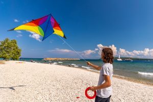 A teenager with a frisbee in hand flies a kite from the rocky beach at Mackinac Island’s Windermere Point