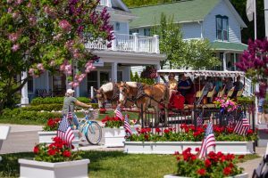 Lilacs bloom on a Mackinac Island as a horse-drawn carriage tour and bicycle rider pass by historic homes.