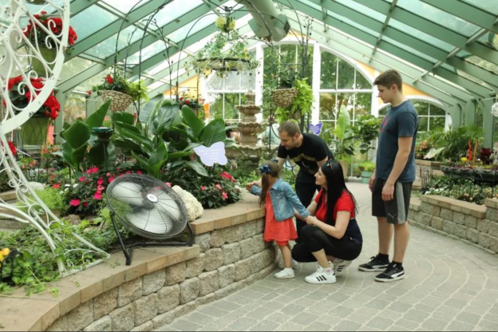 Mackinac Island butterfly houses give visitors the chance to see exotic insects from all over the world up close.