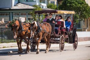 A private horse-drawn carriage tour on Mackinac Island offers a personalized experience and additional photo opportunities.