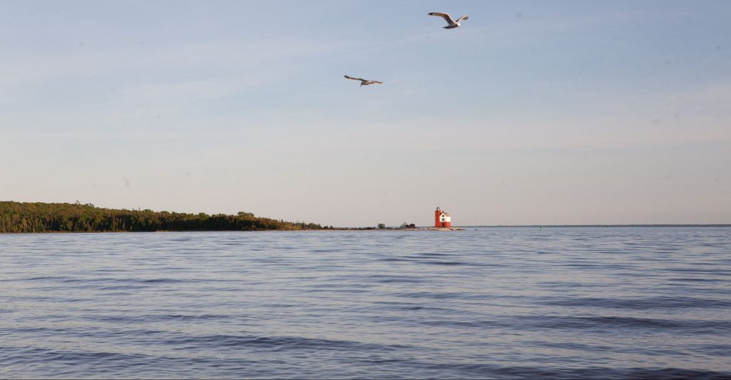 Two birds fly over the water off Mackinac Island with Round Island Lighthouse in the background