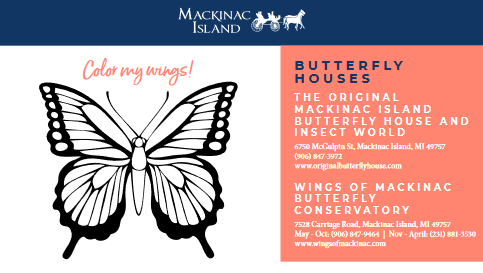 Printable activity sheet for kids featuring Mackinac Island butterflies and butterfly houses