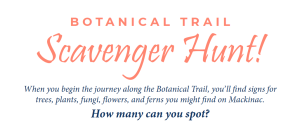 Clickable link to downloadable scavenger hunt along Mackinac Island's Botanical Trail
