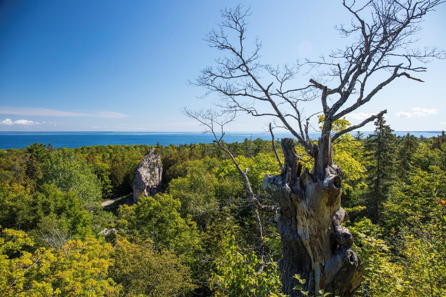 Mackinac Island’s towering Sugar Loaf rock stands against a blue backdrop of water with green forest in the foreground.