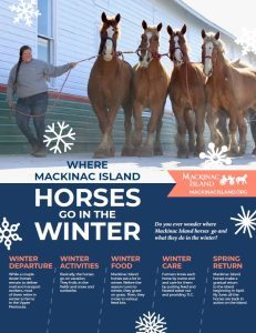 Infographic showing where Mackinac Island horses go in the winter and what they do