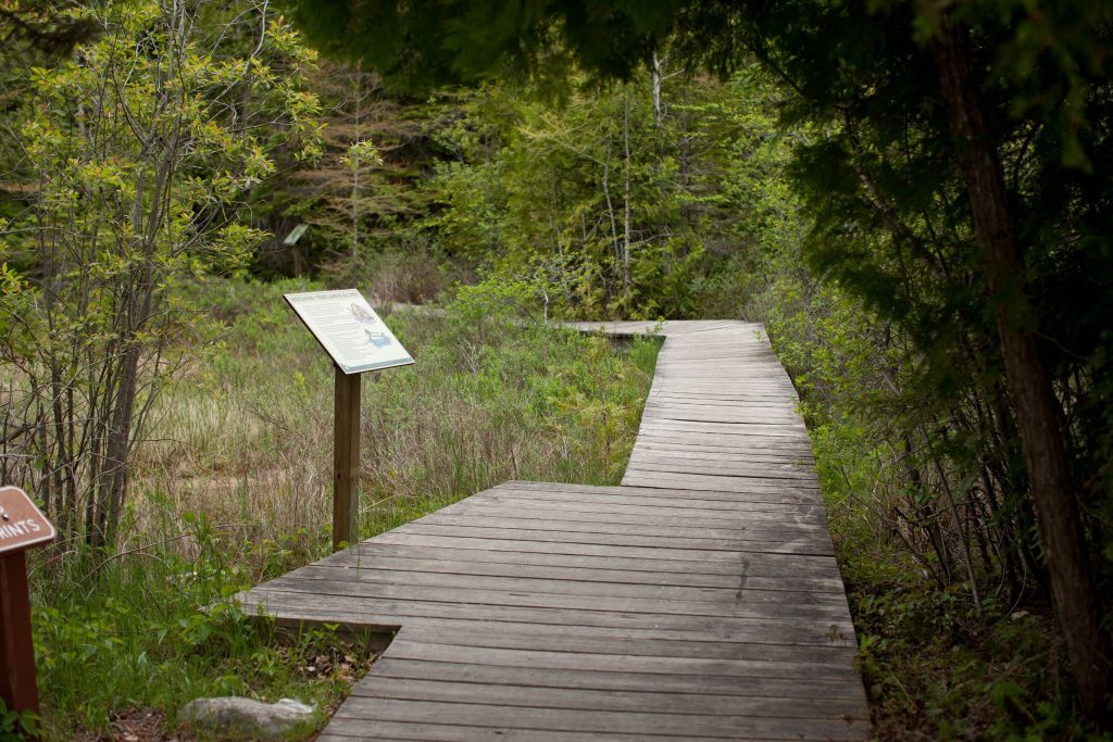 An interpretive sign stands along a boardwalk through the forest of Mackinac Island State Park