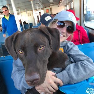 Dog with Owner on Ferry – Mackinac Island Tourism Bureau