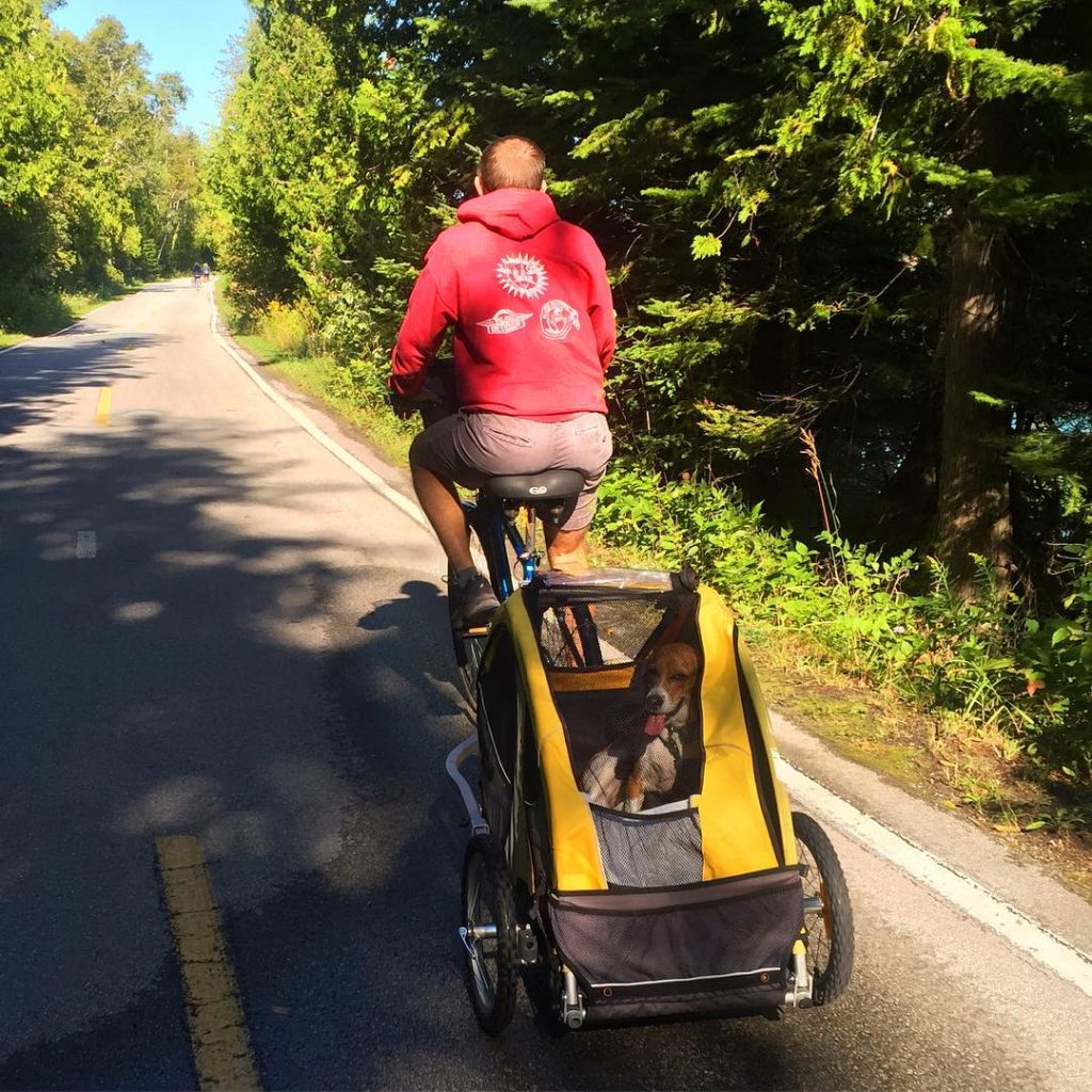Dog in Wagon Attached to Bike – Mackinac Island Tourism Bureau