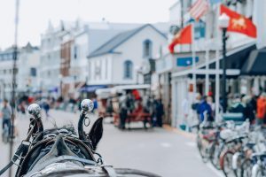 A horse wearing a harness with bells heads down Main Street in downtown Mackinac Island