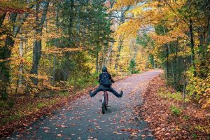 A Mackinac Island visitor rides a bicycle down a paved path through woods bursting with fall color