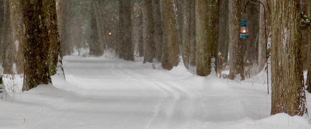 Cross-Country Ski Trail Covered with Snow During Winter on Mackinac Island