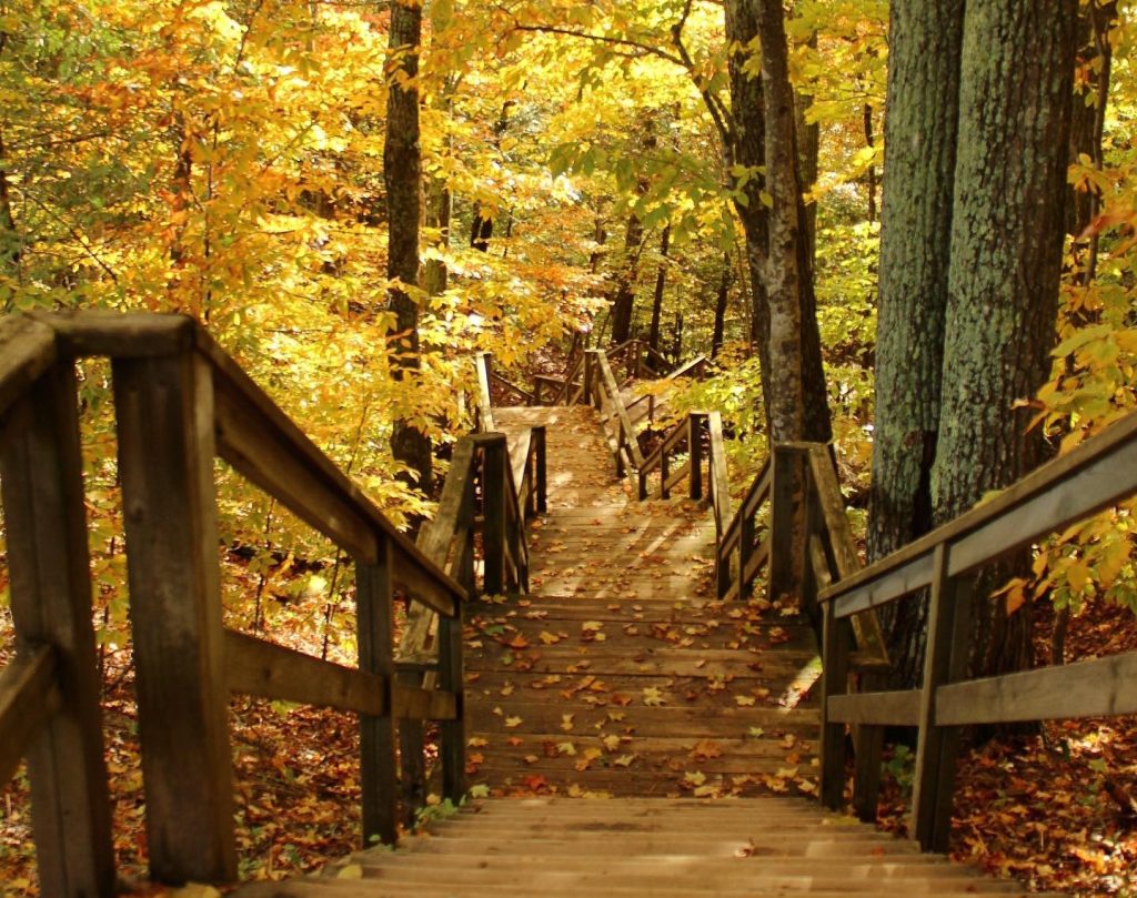 A wooden staircase leads down through a forest of fall color on Mackinac Island