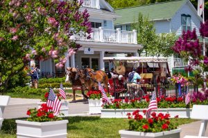A horse-drawn carriage clip-clops down a Mackinac Island street lined with blooming lilacs on a sunny June day
