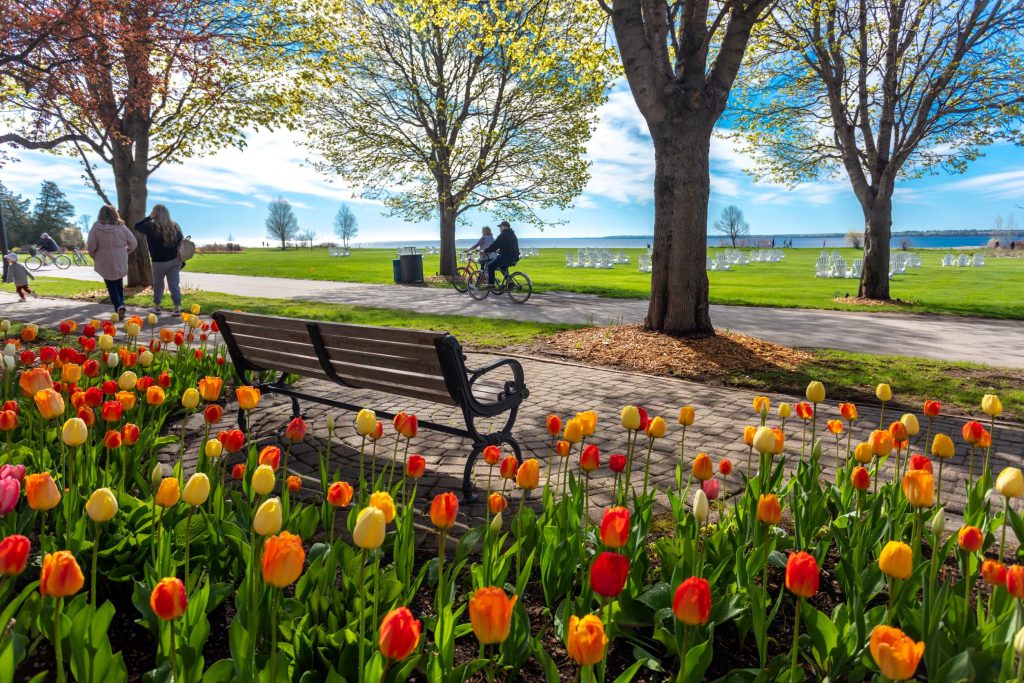 Tulips bloom and trees leaf out on Mackinac Island in the spring as two people ride a bicycle past