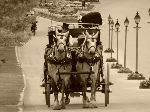 Sepia Photograph of Horse-Drawn Carriage on Mackinac Island