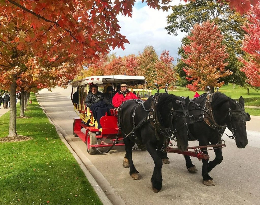 Two black horses lead a carriage tour down the street past fall colors on Mackinac Island
