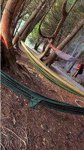 Three hammocks crisscross the Mackinac Island forest floor between trees in Mackinac Island State Park